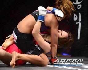 日韩拳击举牌美女视频,性感举牌美女成焦点